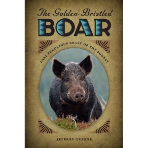 Golden Bristled Boar