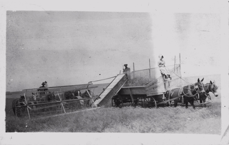 Volga Germans 1914 wheat farming